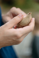 girl with a shell. nature conservation concept