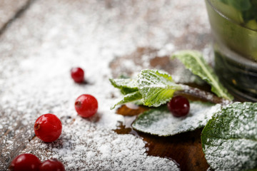 mint with cranberries on the table
