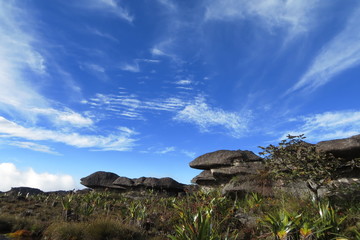 Landscape found on top of Mount Roraima, displaying an incredible rock formation. Beautiful and impressive natural background.