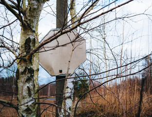 Old weathered blank sign in woodland
