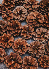 Christmas concept background.