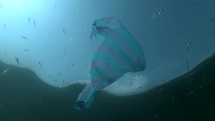 Plastic pollution, striped bag and school of Sand Smelt swims underwater on background blue sky with clouds. Low-angle shot. Plastic debris underwater. Plastic garbage environmental pollution problem 