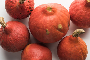top view of ripe whole pumpkins on white background