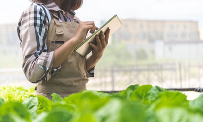 Farmers are checking the quality of organic vegetables before making a note and sending them online via a laptop.