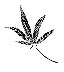 Decorative black trafaret leave of big hemp
