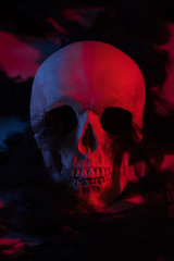 spooky human skull in red lighting, Halloween decoration