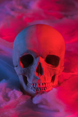 spooky human skull in red lighting with cotton wool, Halloween decoration