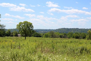A view of the grass field in the countryside on a sunny day.