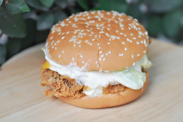 chicken burger or hamburger, bread with stuffed