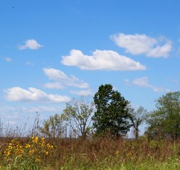 Obraz premium The white clouds in the sky overtop of the green land.