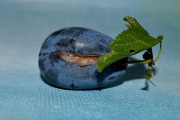 blue ripe homemade organic plum