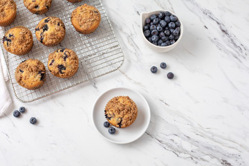 Homemade Blueberry Muffins on Cooling Rack with One Isolated in Front on Small White Plate; Bowl of Blueberries in Background; White Countertop