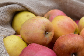 Fresh autumn harvest: ripe garden apples with red sides in rough canvas bags close-up