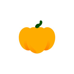 Orange pumpkin closeup vector isolated icon. Thanksgiving Symbol and Halloween. Autumn Pumpkin Harvest