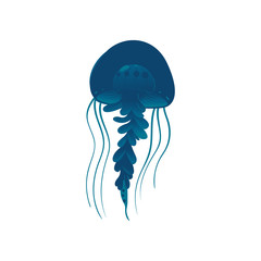 Wildlife sea or ocean design element the jellyfish vector illustration isolated.