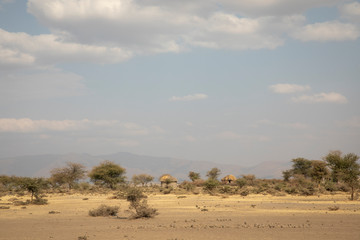 maasai boma in tanzanian landscape