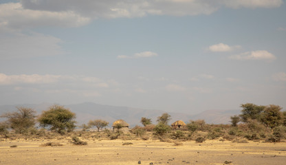 Fototapeta na wymiar maasai boma in tanzanian landscape