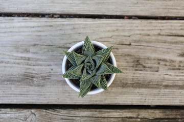 christmas decoration on wooden background