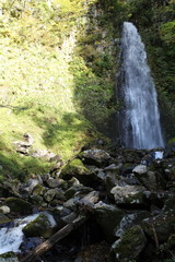 Fototapeta premium 雨滝