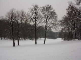 Parco con neve