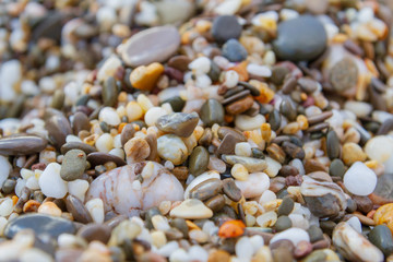 Sea stones on the seashore in the summer