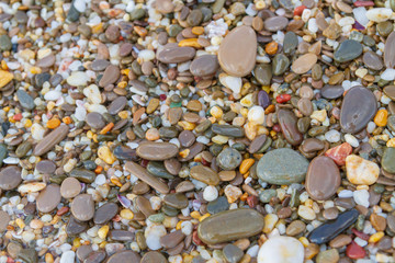 Sea stones on the seashore in the summer