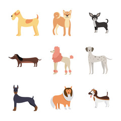 Cartoon dog breed set isolated on white background