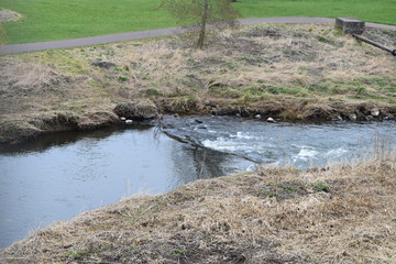birds, castles and water