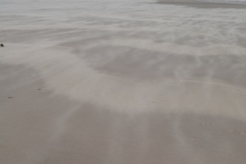 birds, castles and water