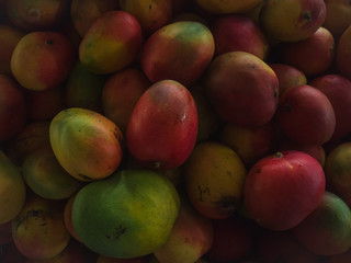 Costa rican Mangoo fruit
