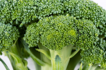 green broccoli close-up