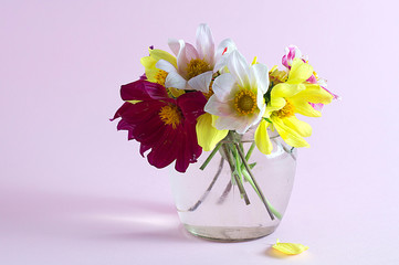 Flowers in a glass jar on a pink background.