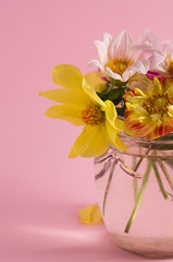 Flowers in a glass jar on a pink background.