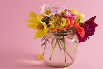 Flowers in a glass jar on a pink background.