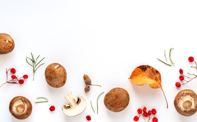 Autumn mushroom background. Fresh brown champignon mushrooms, red viburnum berries and autumn leaves on a white background, top view, flat lay, copy space