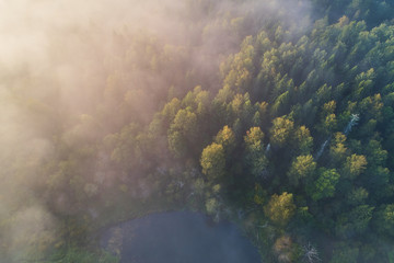 Aerial photography from the drone. Winding river and road in the forest in the morning fog