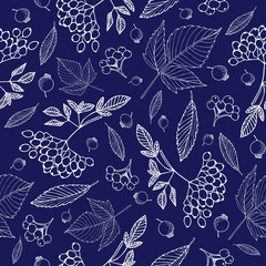 pattern of berries, leaves, rosehip, white outline, on blue background vector illustration for design and decoration