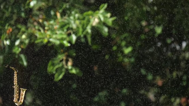A golden alto saxophone stands against background summer fine drizzling rain and green foliage trees. Music background for clips and music with saxophone. Slow motion video. Drops rain fall saxophone.