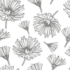 Fototapeta premium Calendula or daisy flower. Botanical illustration. Good for cosmetics, medicine, treating, aromatherapy, nursing, package design, field bouquet. Seamless pattern