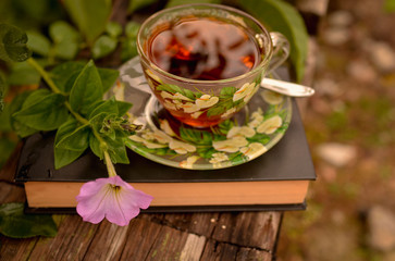 A hardback book lies on a bench in the autumn park, and near the book is a cup of tea and yellow leaves. Emotional romantic photo. Photo in warm evening colors.