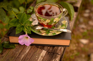 A hardback book lies on a bench in the autumn park, and near the book is a cup of tea and yellow leaves. Emotional romantic photo. Photo in warm evening colors.