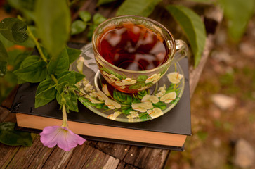 A hardback book lies on a bench in the autumn park, and near the book is a cup of tea and yellow leaves. Emotional romantic photo. Photo in warm evening colors.