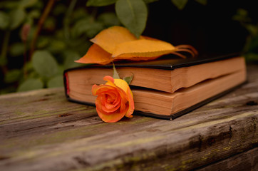 A hardback book lies on a bench in an autumn park, and near the book are yellow leaves and flowers. Emotional romantic photo. Photo in warm evening colors.