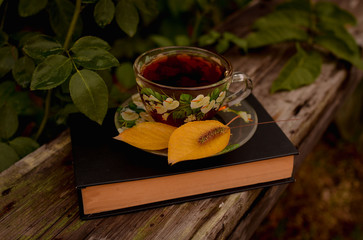 A hardback book lies on a bench in the autumn park, and near the book is a cup of tea and yellow leaves. Emotional romantic photo. Photo in warm evening colors.