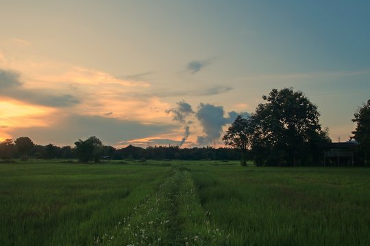 sunset over green field © Mushroom House