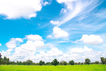 Obraz premium White clouds in Blue sky with meadow tree, the beautiful sky with clouds have copy space for the landscape background.