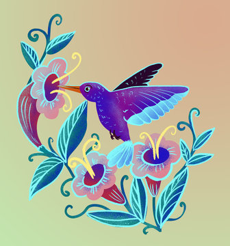 hummingbird drinks nectar from a flower