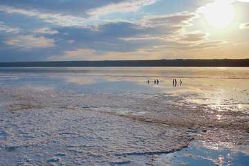 Landscape with a shore of salty estuary on a cloudy day.