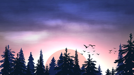 Sunrise over the pine forest. Vector illustration with beautiful morning landscape, coniferous forest, birds, clouds. © DDevicee