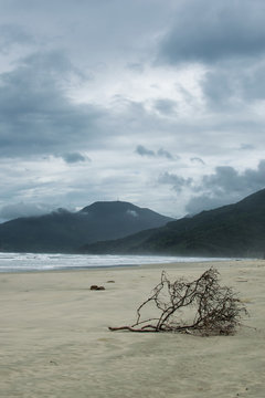 Imagen del paisaje de las playas de Da Nang en Vietnam durante el verano